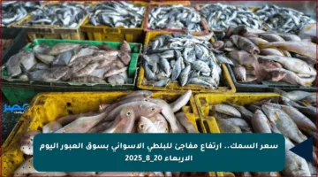 سعر السمك.. ارتفاع مفاجئ للبلطي الأسواني بسوق العبور اليوم الأربعاء 20_8_2025